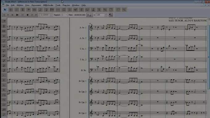 transcribe fast any instrument you need