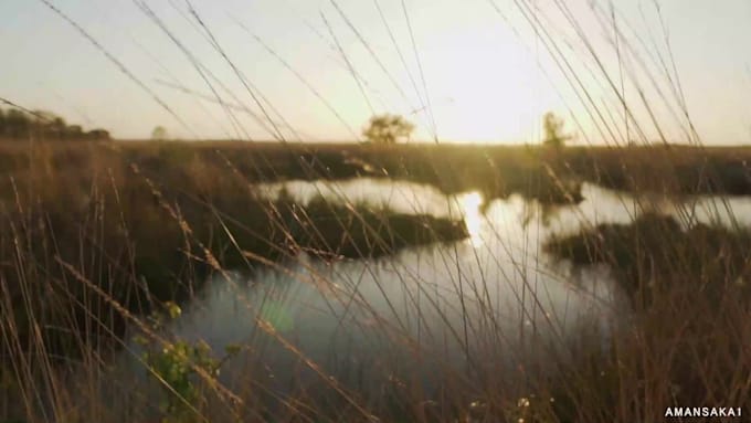 create cinematic video edit with stock footage