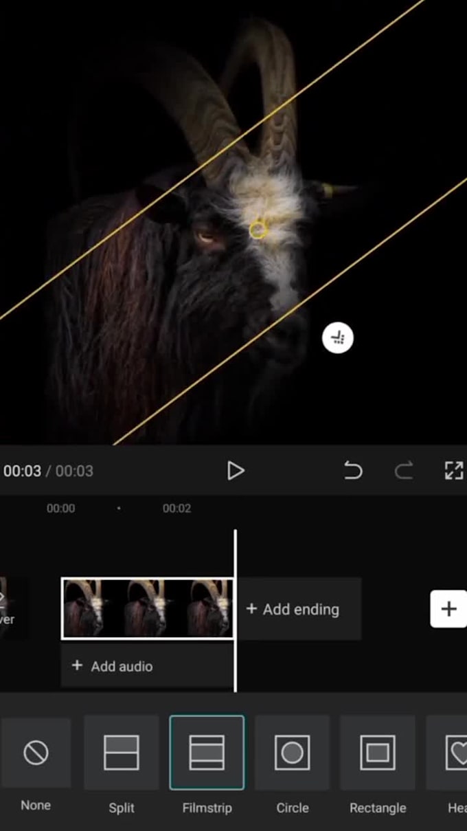 edit your  professional videos