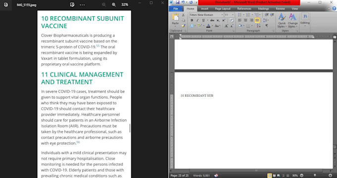 do typing, copy paste, data entry and conversions