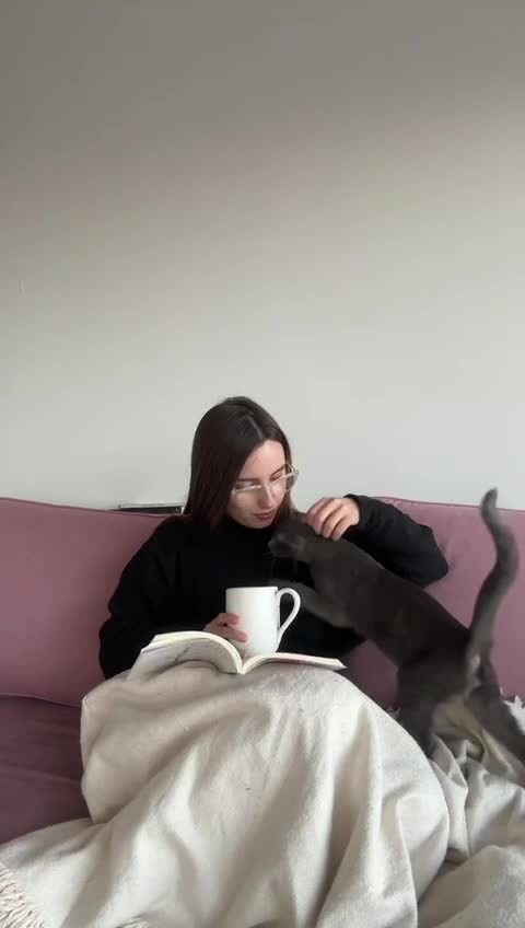 create ugc videos for you with my grey cat