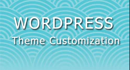 customize any wordpress theme