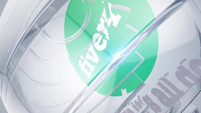 create amazing and pro logo animation
