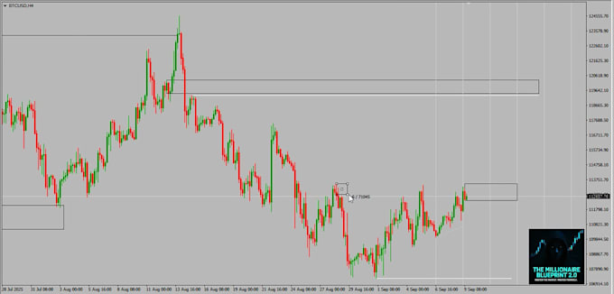 provide forex market breakdowns with charts and educational tutorials