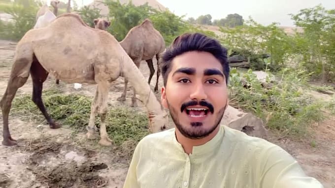 wish funny happy birthday video
