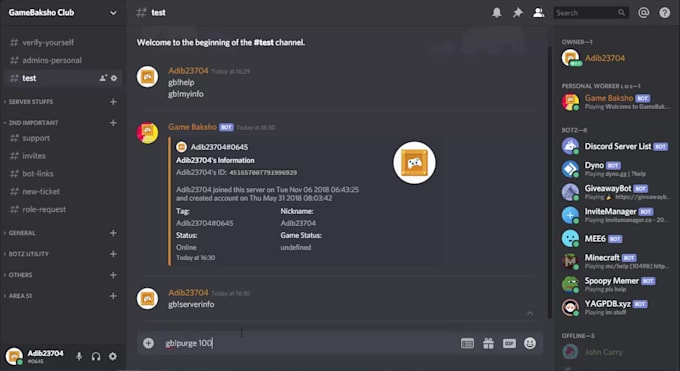 make a custom discord bot for you