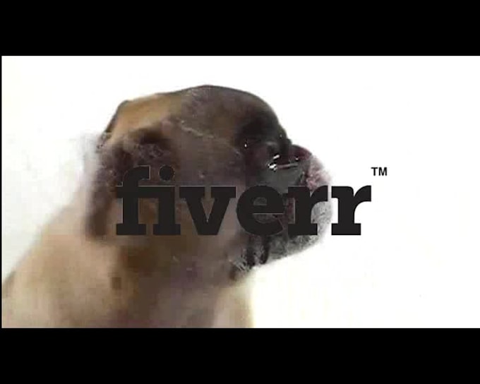 make a pug lick your logo or text only