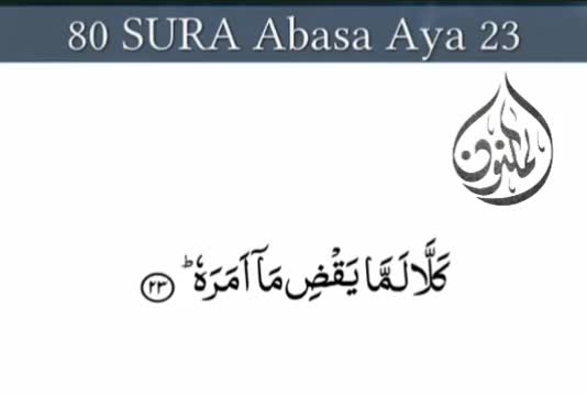 be your tafseer ul quran tutor