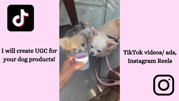 create ugc dog content for tiktok or video ads and reels