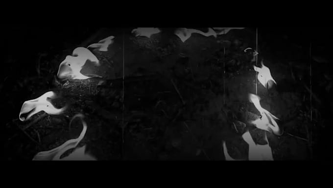 record raw performance footage for your music video