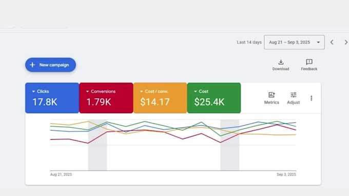 setup and manage google adwords, search, display, performance max ads for you