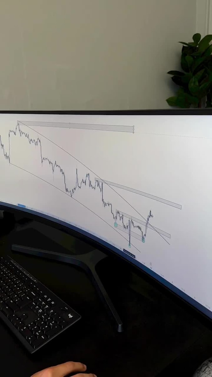 provide profitable forex trading strategies, analysis and mentorship