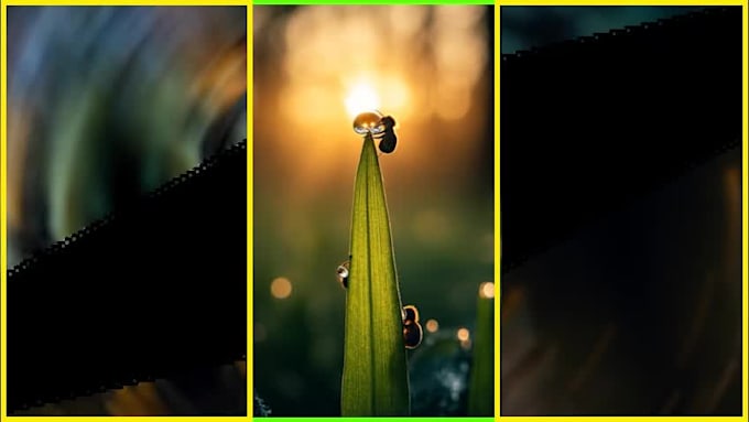 turn your ideas into ai short clips and ai animations