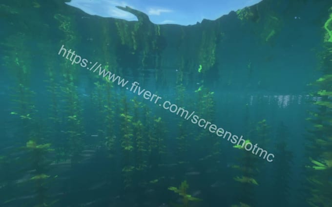 take beautiful screenshots for you in minecraft