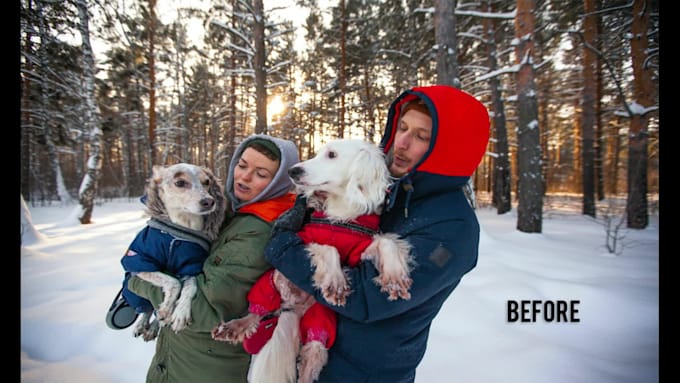 do your pet photo retouching and image editing