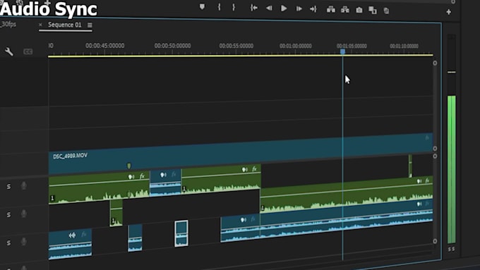 edit your tiktok,youtube videos or ig reels