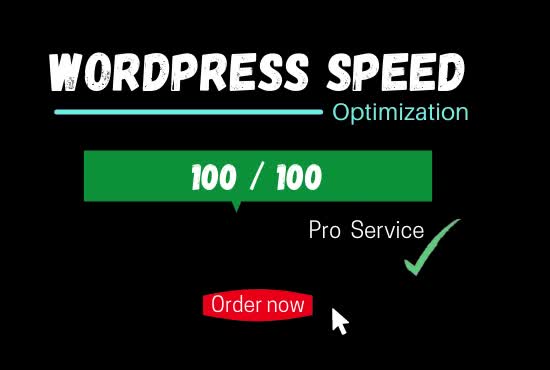 speed optimize your wordpress website