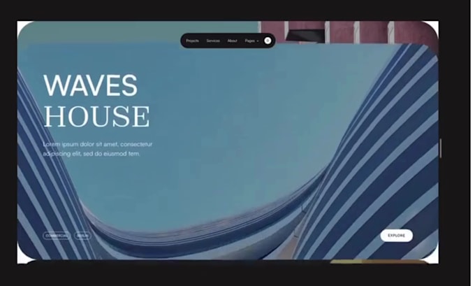 design expert wordpress shopify website dropshipping store