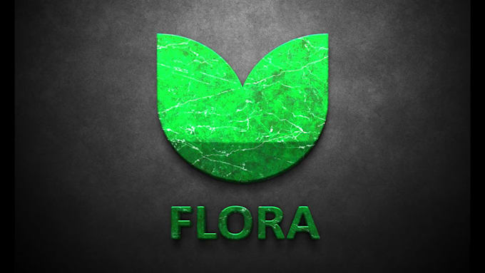 design a professional custom logo for your brand