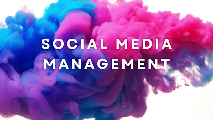 create social media management and content creator