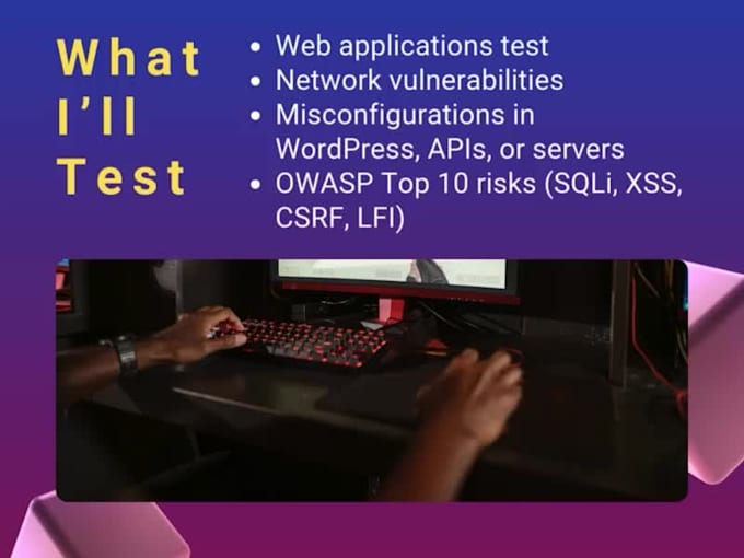 provide advanced penetration testing and vulnerability assessment