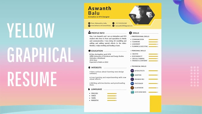 make awesome graphical CV resume