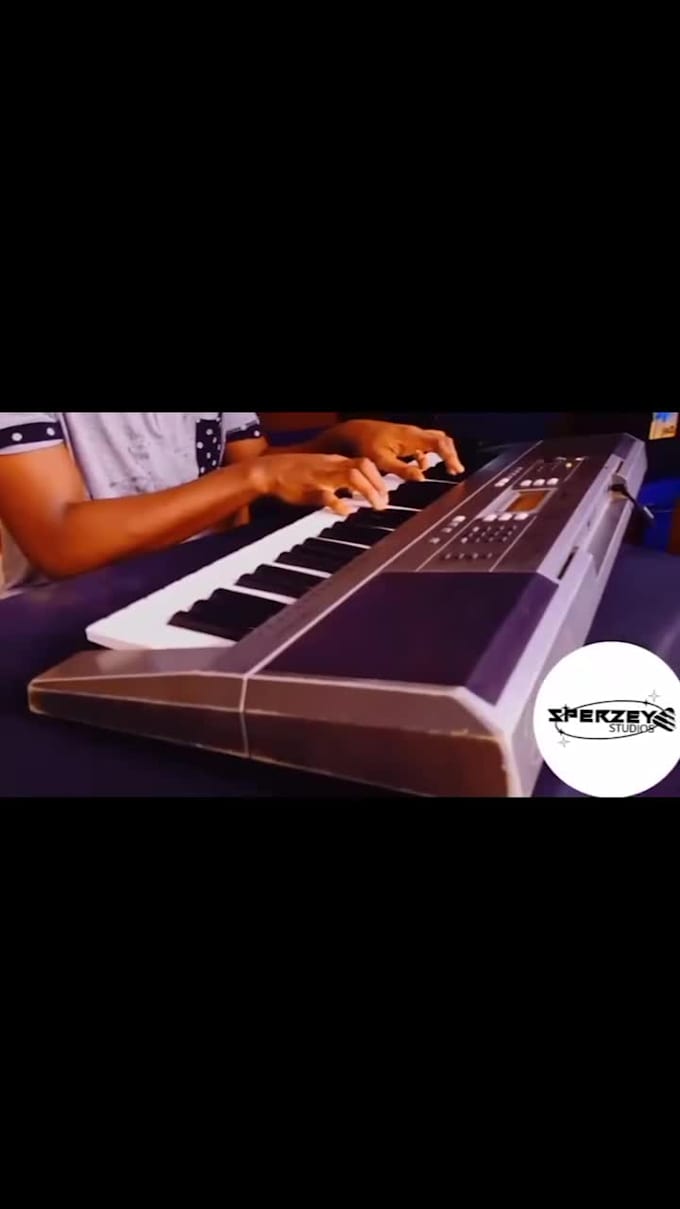 produce your custom afrobeat, drill beat, trap, raggae