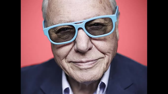record your narration in the style of sir david attenborough