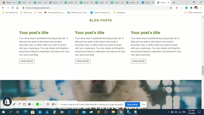 be your shopify developer for custom shopify store