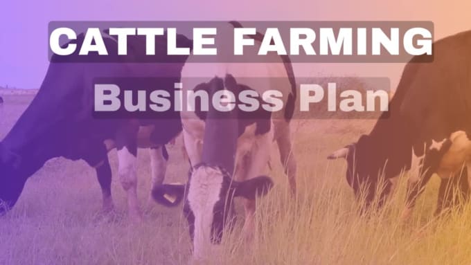 dairy cattle business plan