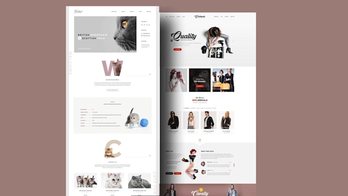 design wordpress landing page website with elementor