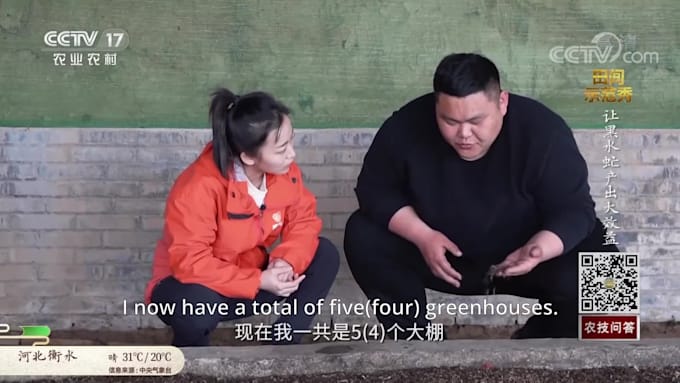 subtitle your mandarin or cantonese videos in english