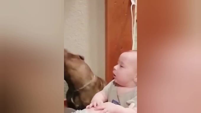 funny baby youtube short video reel within 24hr