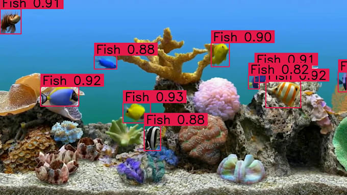build a custom computer vision model for object detection or segmentation