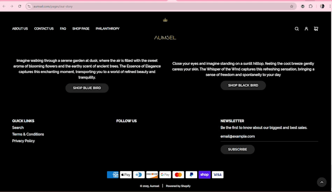 help create a professional business website