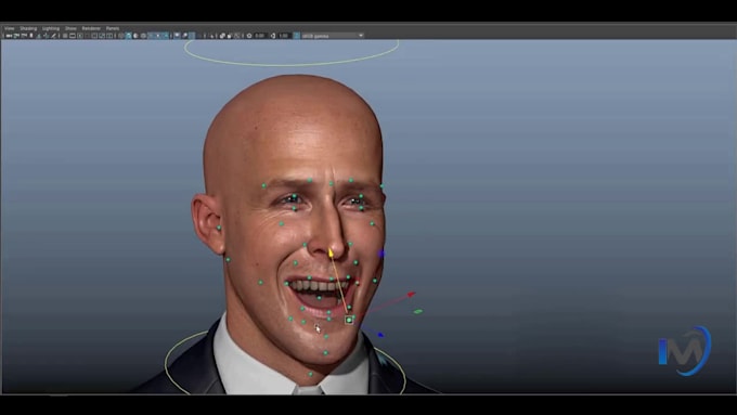 do 3d character rigging, 3d facial rig, facial expression, auto pro rig