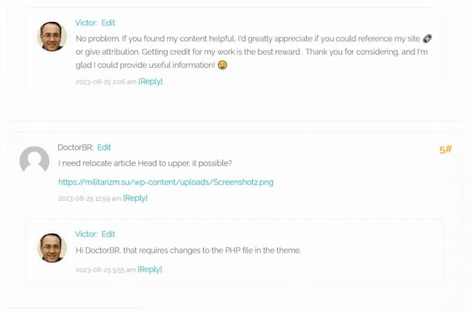 be a consultant on wordpress bugs, help, coding, advice