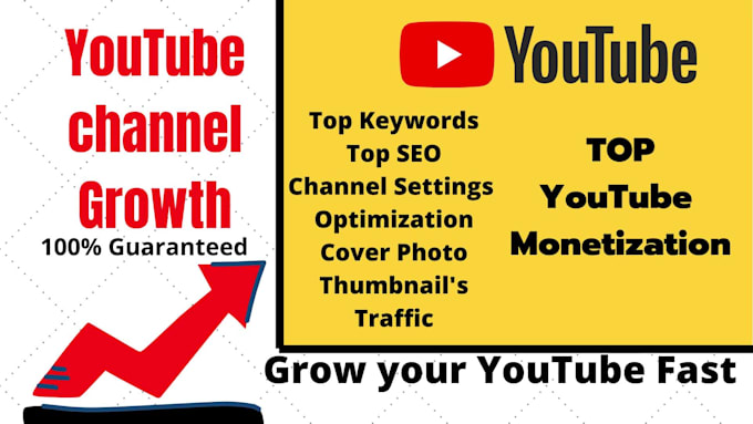 setup,optimize youtube promotion and monetize channel with seo