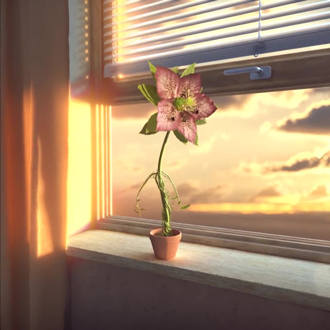 do 3d flower animation 3d plant animation 3d flower model