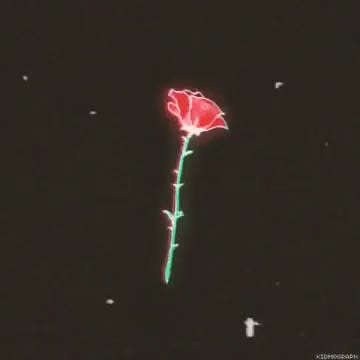 slow and reverb any album