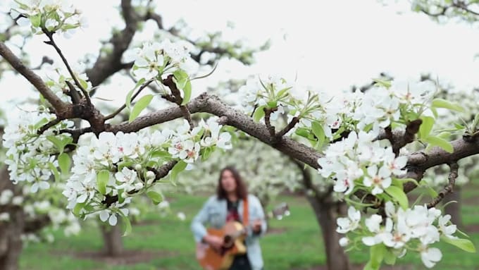 sing and compose music to anything you wrote