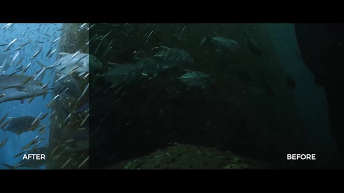 enhance and color grade your underwater video