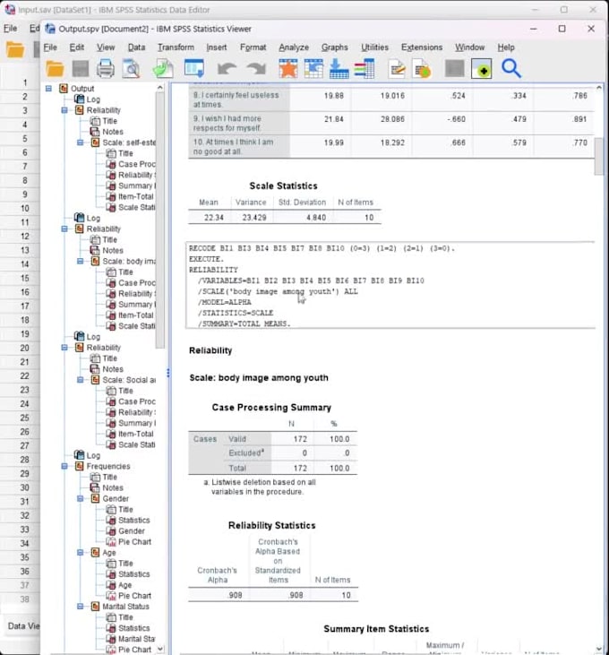Analyze the data using spss by Saifuddin_zahid | Fiverr