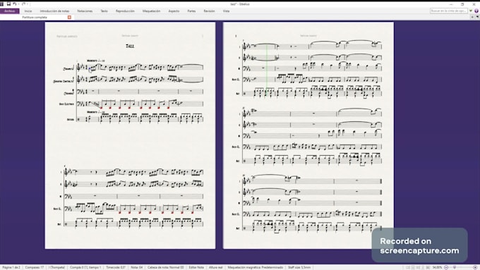 transcribe, arrange and compose music for your project