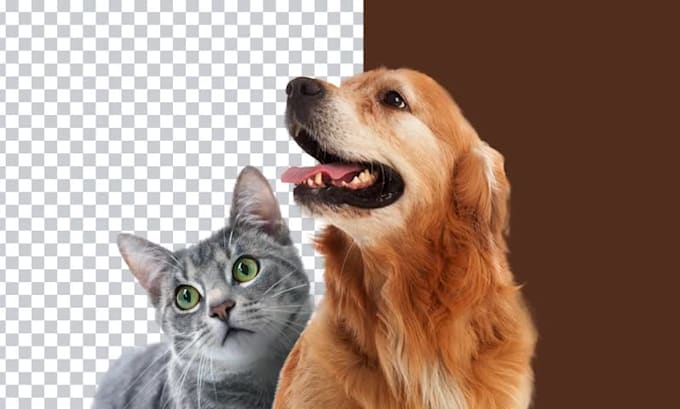 remove background, clipping path, photoshop retouching