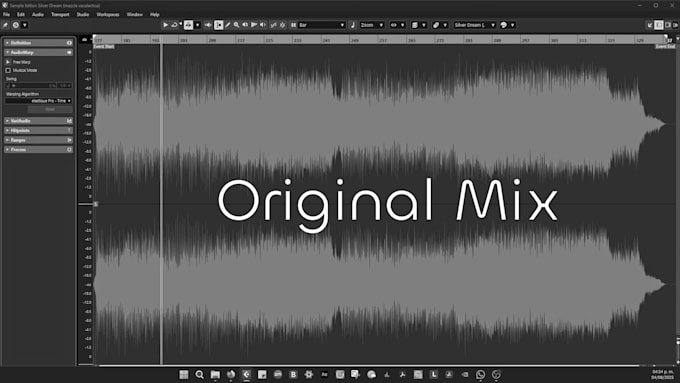 edit, mix and master your song or audio professionally