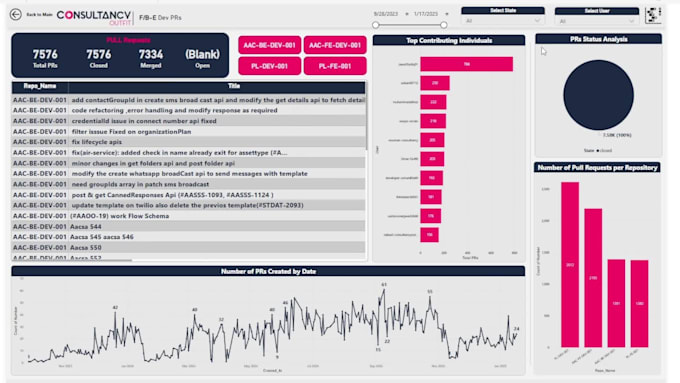 build custom power bi dashboards and data visualization