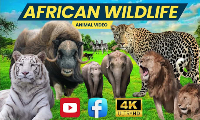 do animal fighting video for your youtube channel