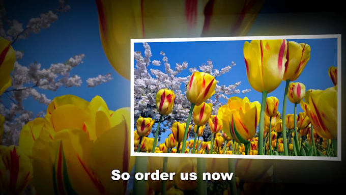 create amazing 3d photo and video slide show