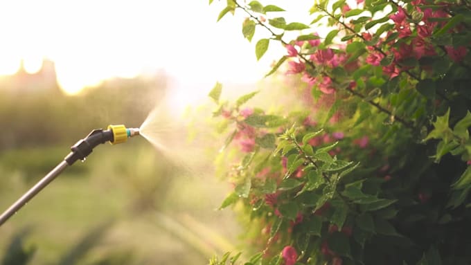 create cinematic product videos for e commerce and brands